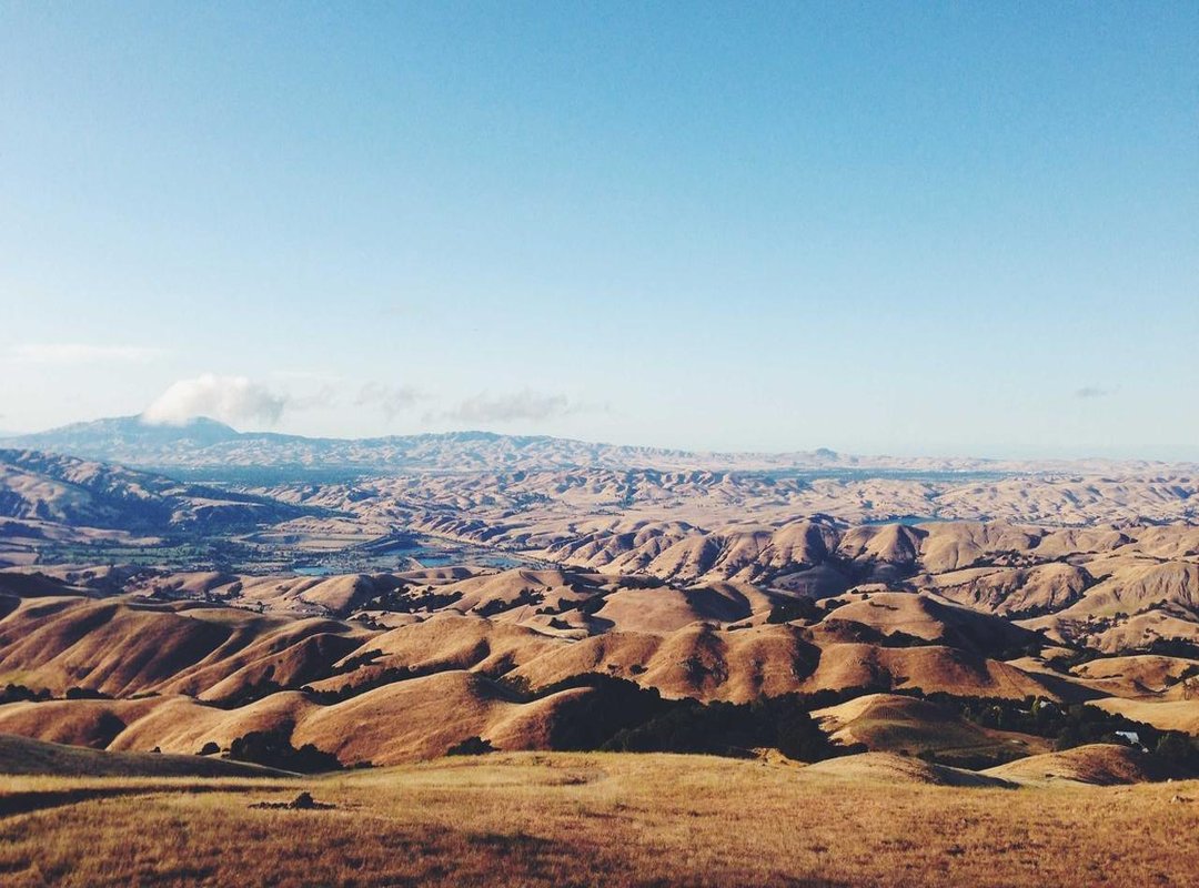 How to Download and Install the Blox Fruit APK (Step-by-Step)