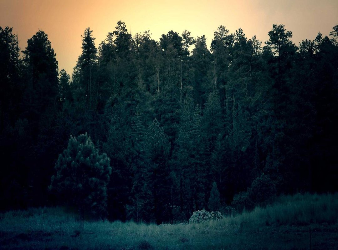 FAQs About صور طيز (Tiz Sour)