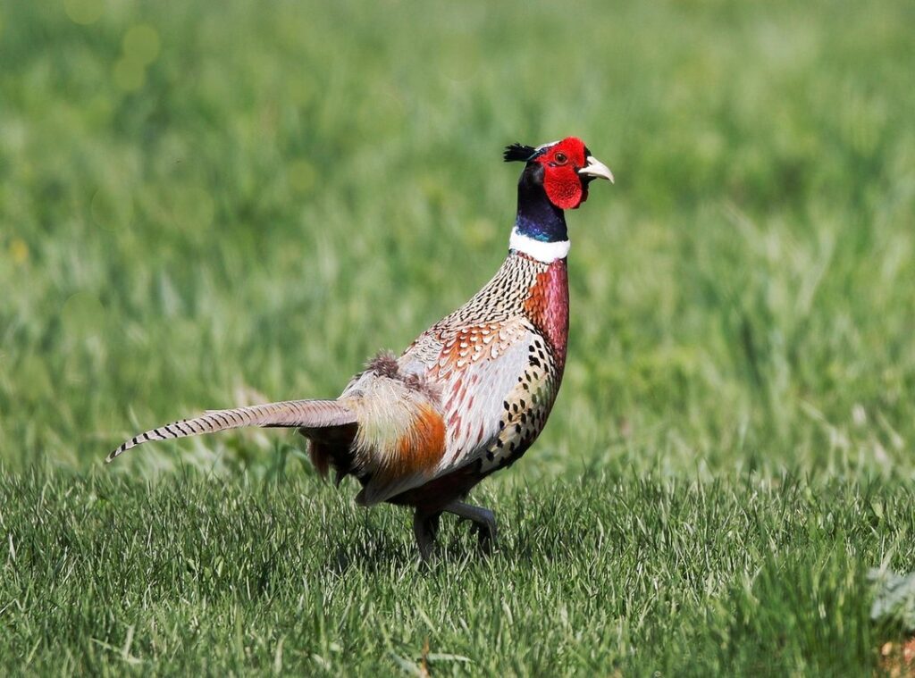 gaming environment optimization