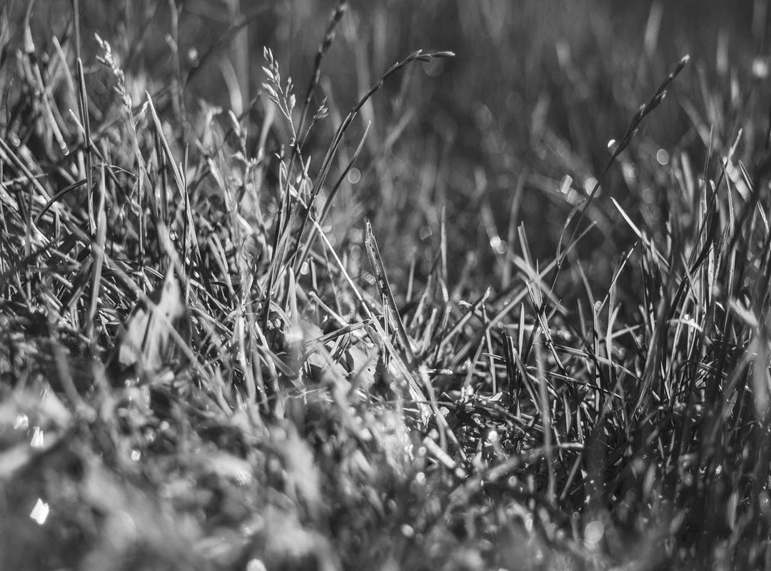 What to Expect After You Join: Content, Community, and Safety